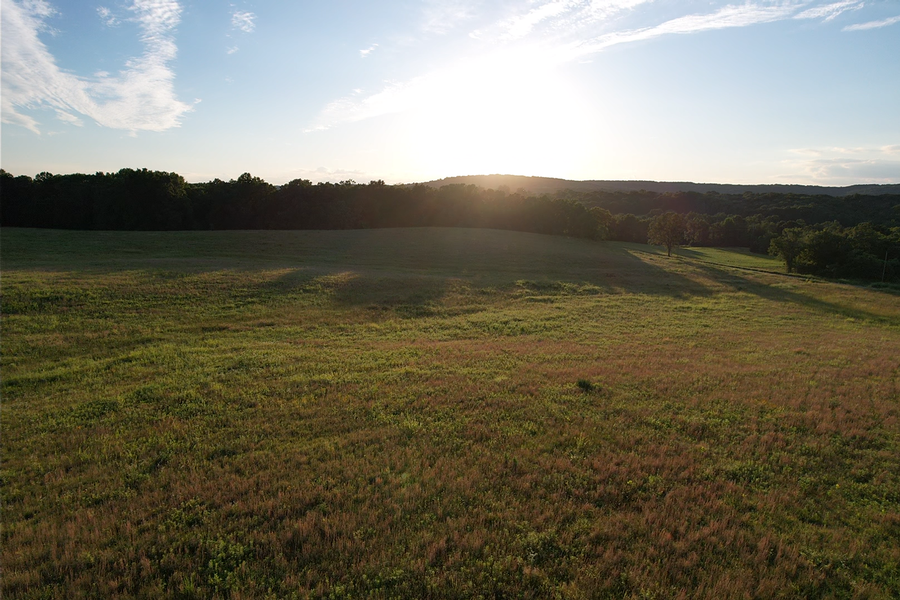 Prime Pope County Acreage with Pond Site, Open Fields & Wooded Acres